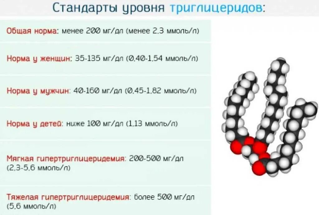 Повышение уровня триглицеридов. Норма триглицеридов. Триглицериды показатели нормы. Триглицериды в крови.