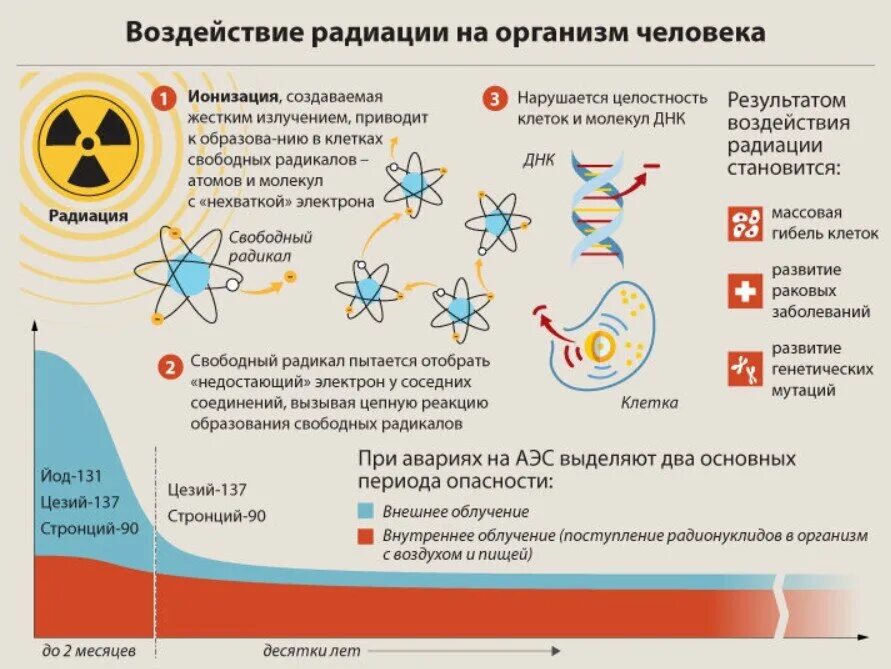 Действие радиоактивного излучения на человека