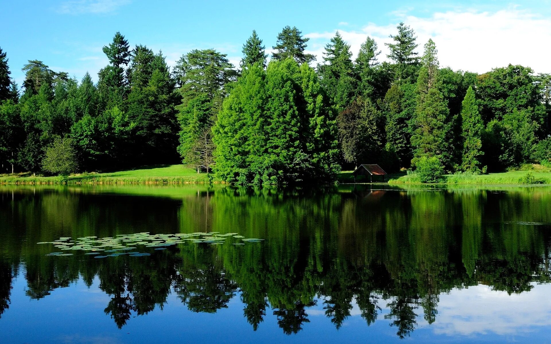Ото красивых. Озеро в лесу. Лесное озеро. Природа озеро. Природа лес озеро.
