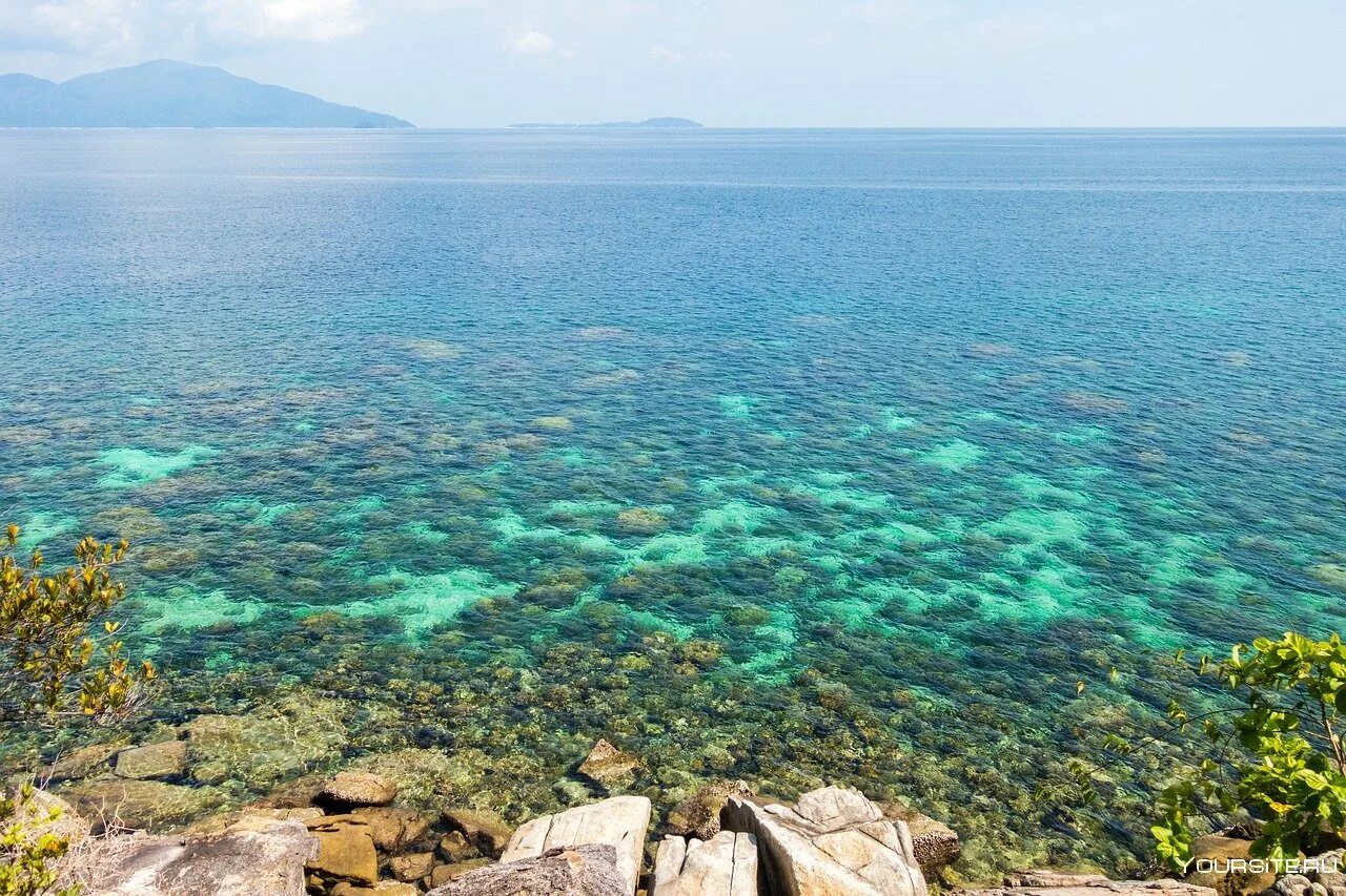 Зеленое море фото. Прозрачное море. Зеленое море фото. Сине зеленое море. Зеленое море фото.