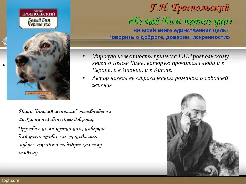 Хозяева зовут собаку