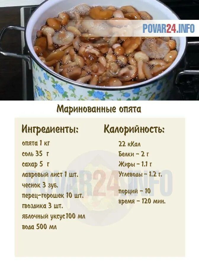 Маринад для грибов опят. Опята в банках. Опята в банке. Рецепт опят на зиму с уксусом. Маринованные опята рецепт.