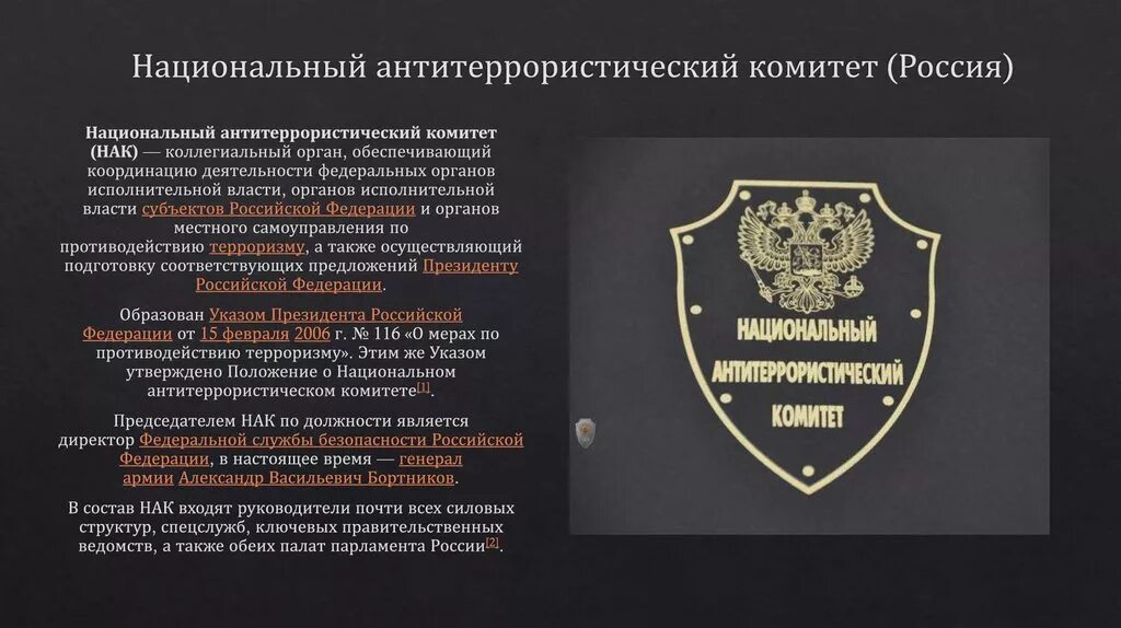 Нак национальный антитеррористический комитет задачи. Национальный антитеррористический комитет РФ структура. Положение о национальном антитеррористическом комитет РФ. Шеврон национальный антитеррористический комитет.