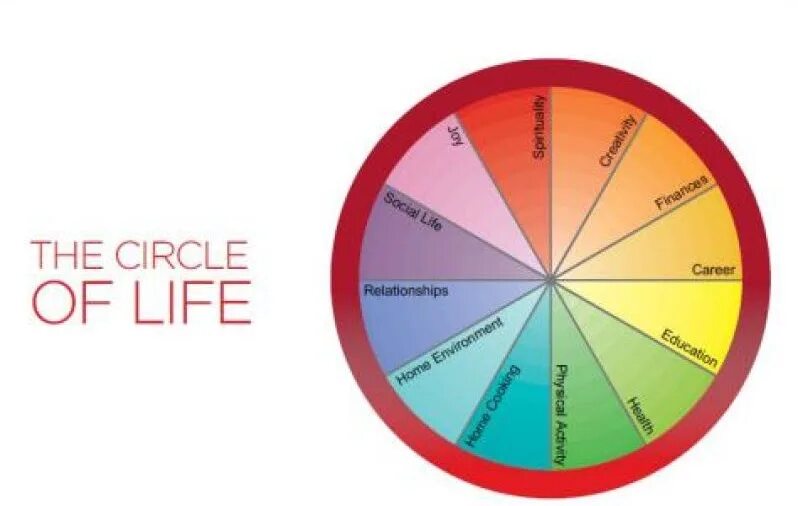 Circle of Life. It's the circle of Life. Life circle Plant круги. TDD circle of Life.