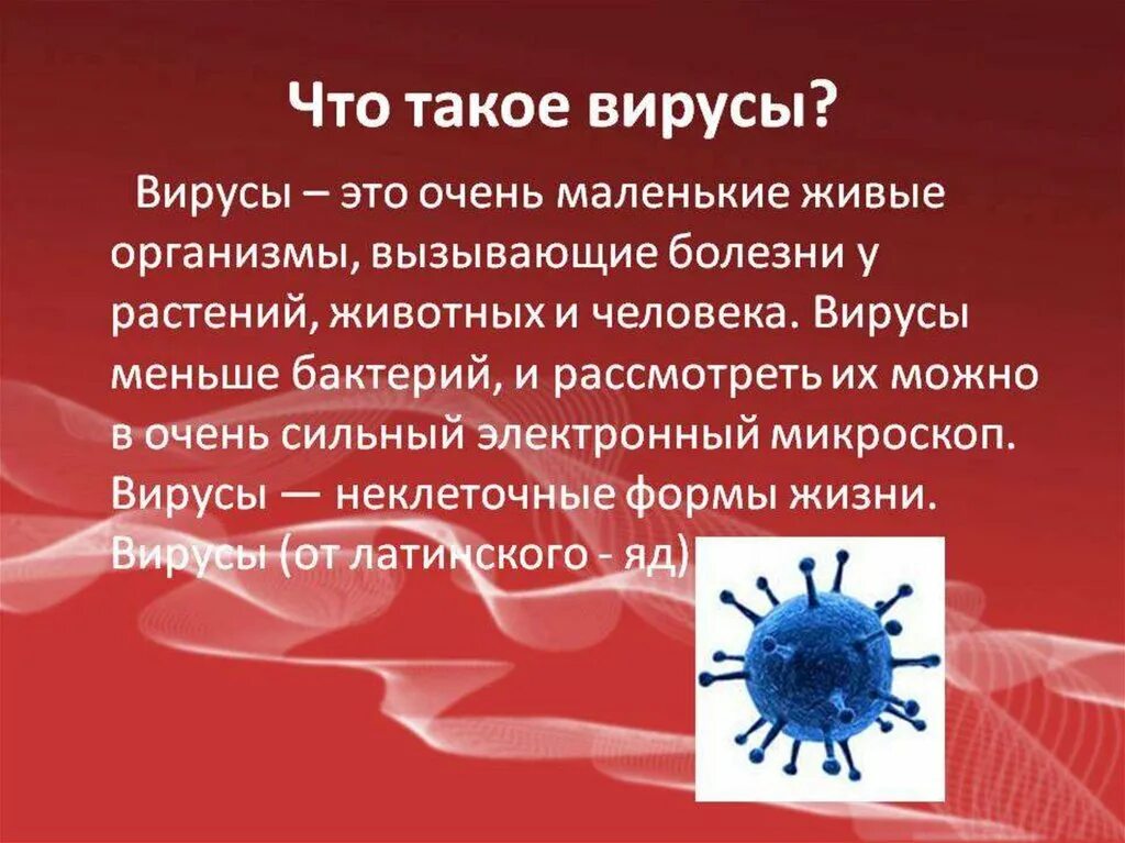 Насколько вирус. Вирус. Вирусы презентация. Проект про вирусы. Вирусы доклад.