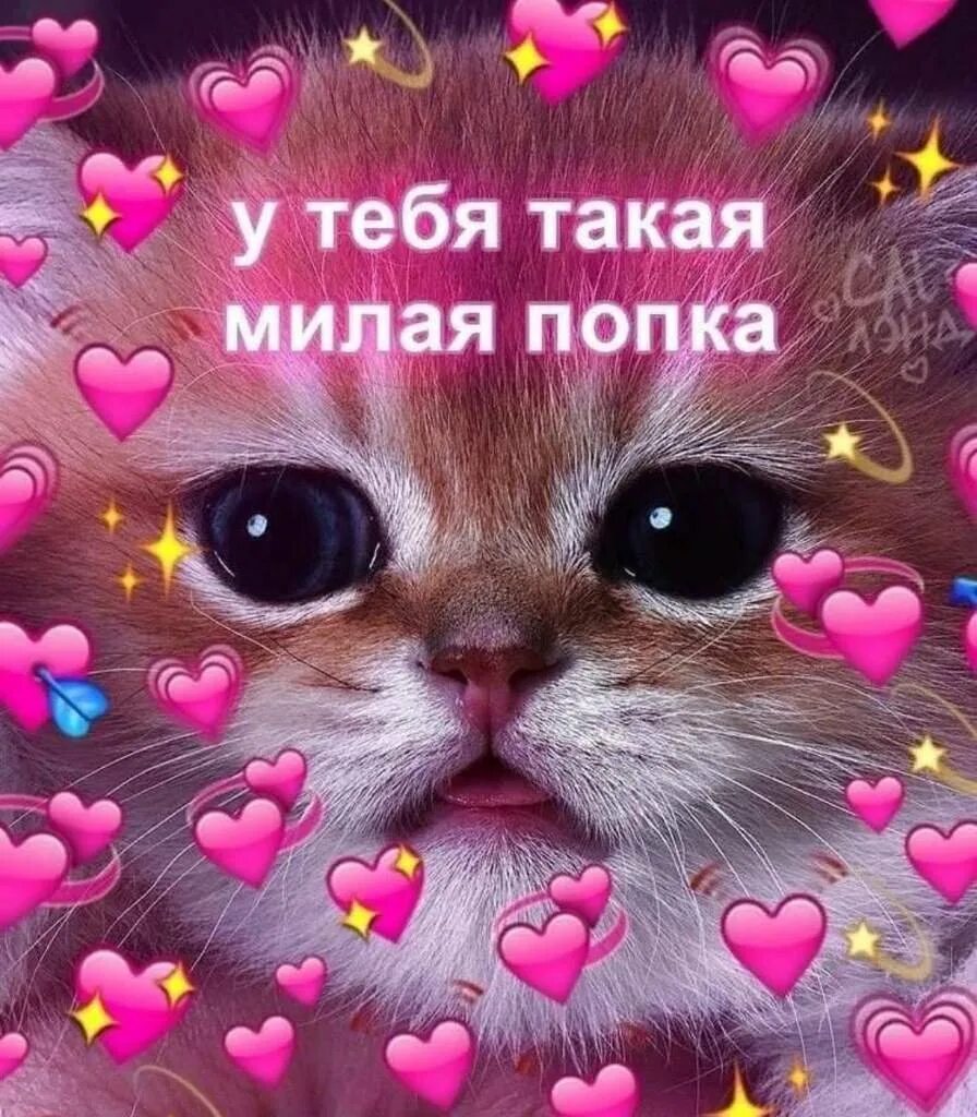 Найти милые слова. Милые слова. милые котики с милыми словами. милые картиночки с надписями. милые картиночки с текстом.