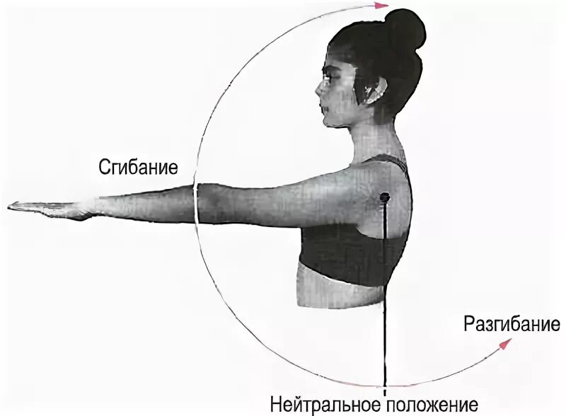 Сгибание и разгибание как называется