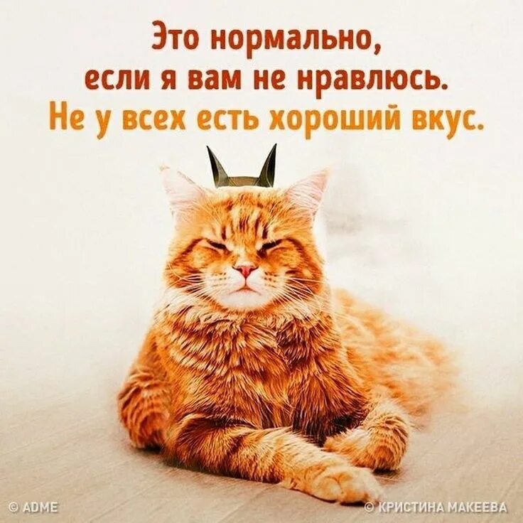 Похвала для мужчины юмор. Фабрика фасадов логотип. Про хороший вкус. Интеллектуальный юмор в открытках. Про хороший вкус.