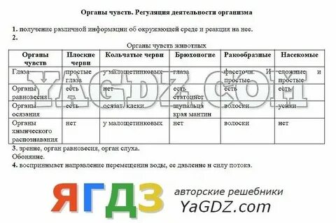 Органы чувств регуляция деятельности организма кратко