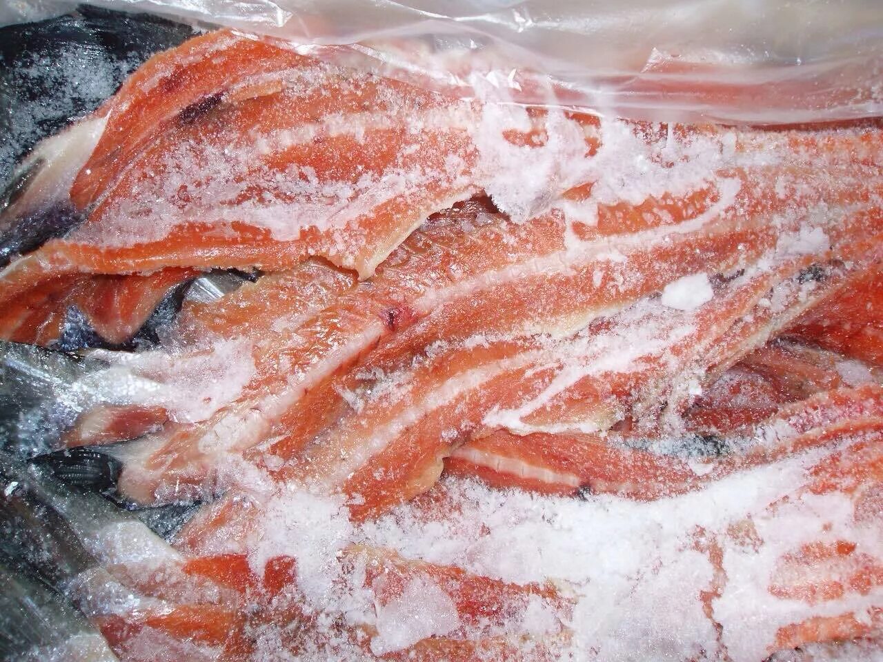 Перемороженная красная рыба. Лосось заморозка. Сёмга свежемороженая. Замороженная красная рыба. Морожено соленая рыба