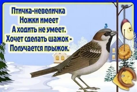 Короткие стихи про птиц