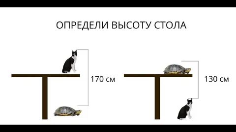 Задача высота