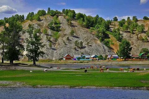 Город на берегу белой реки