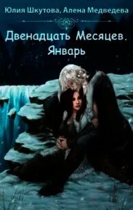 Читать книгу 12