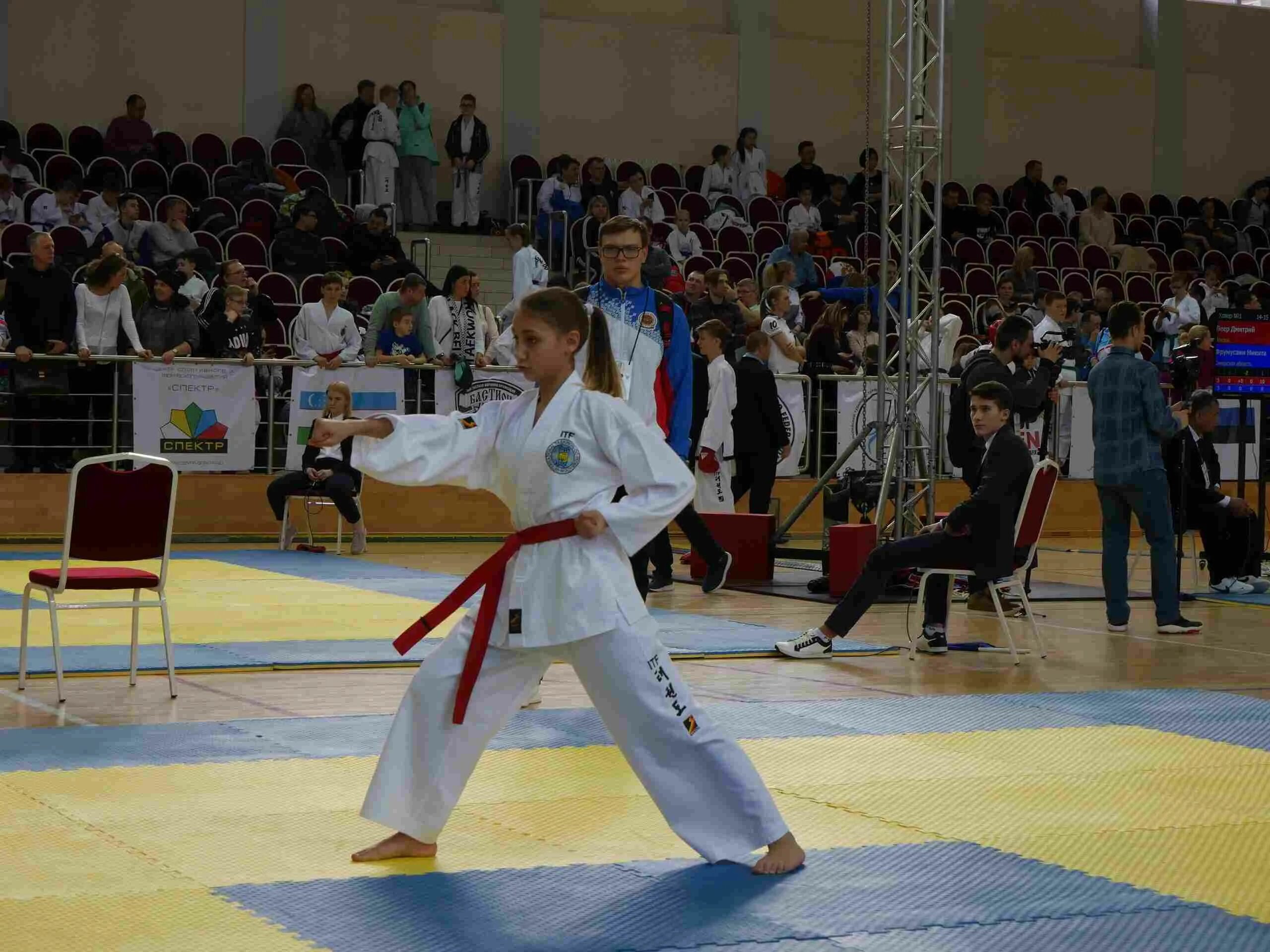 чемпион воронежа по тхэквондо. тхэквондо турниры втф. тхэквондо г. бадмаев энкир тхэквондо. федерация тхэквондо калининградской области.