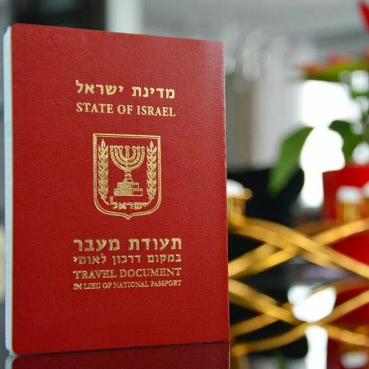 Лесе пасе. Консультативная ассамблея совета европы. Даркон и лессе пассе. Лесе пасе. Лессе пассе биометрический.