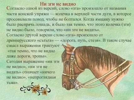 Ни зги это