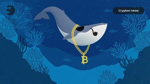Crypto whale