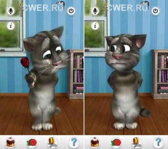 Играть говорящий животные. Talking Tom Cat 2 2011. Talking Tom Cat 2011. Игра talking Tom Cat (2012. Игра похожая Тома.