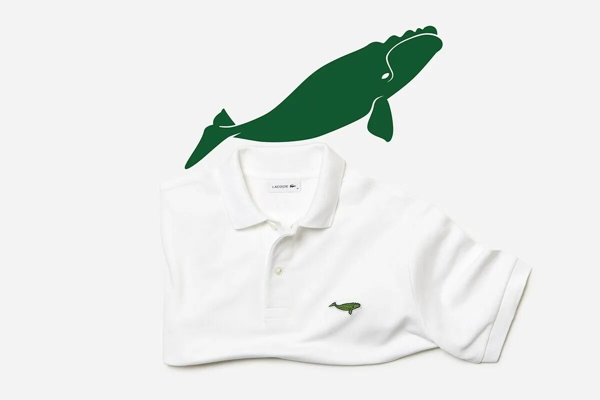 Лакост чья страна. Лакост polo. поло лакост лимитированная коллекция. поло лакост с крокодилом. лакост марка крокодил.