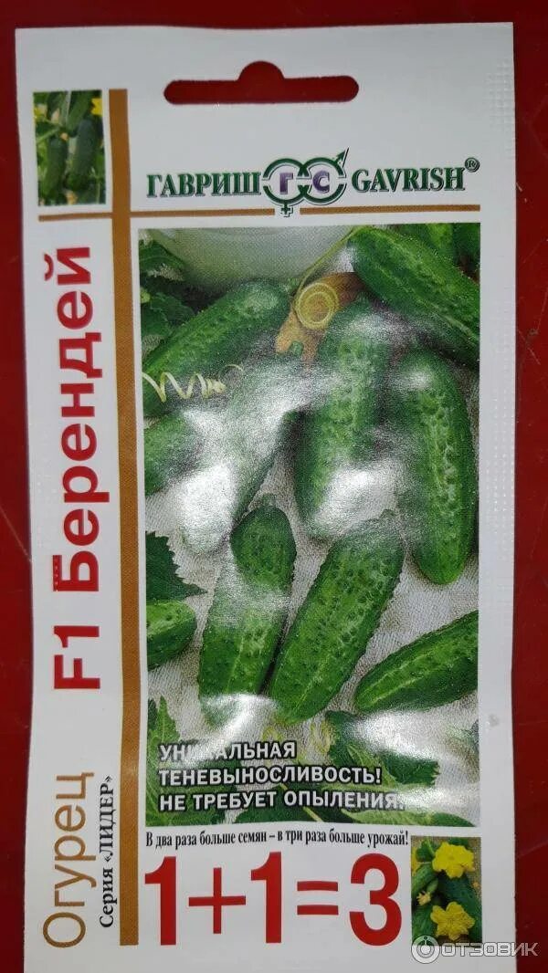 Семена огурцов «берендей f1». Семена огурец берендей f1 10шт. Гавриш огурец берендей f1. Гавриш огурец берендей f1. Семена огурцов гавриш берендей.