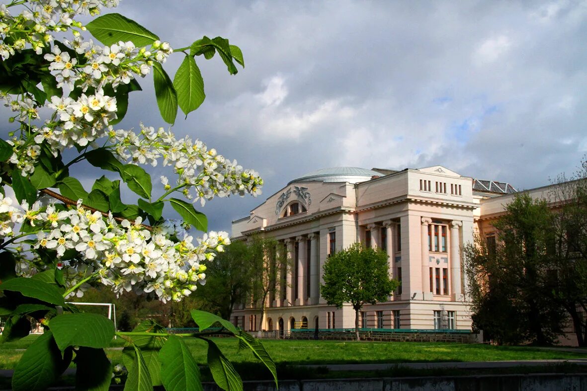 Новочеркасский институт Платова. ЮРГТУ НПИ Новочеркасск. Новочеркасск университет НПИ. Здание НПИ Новочеркасск.