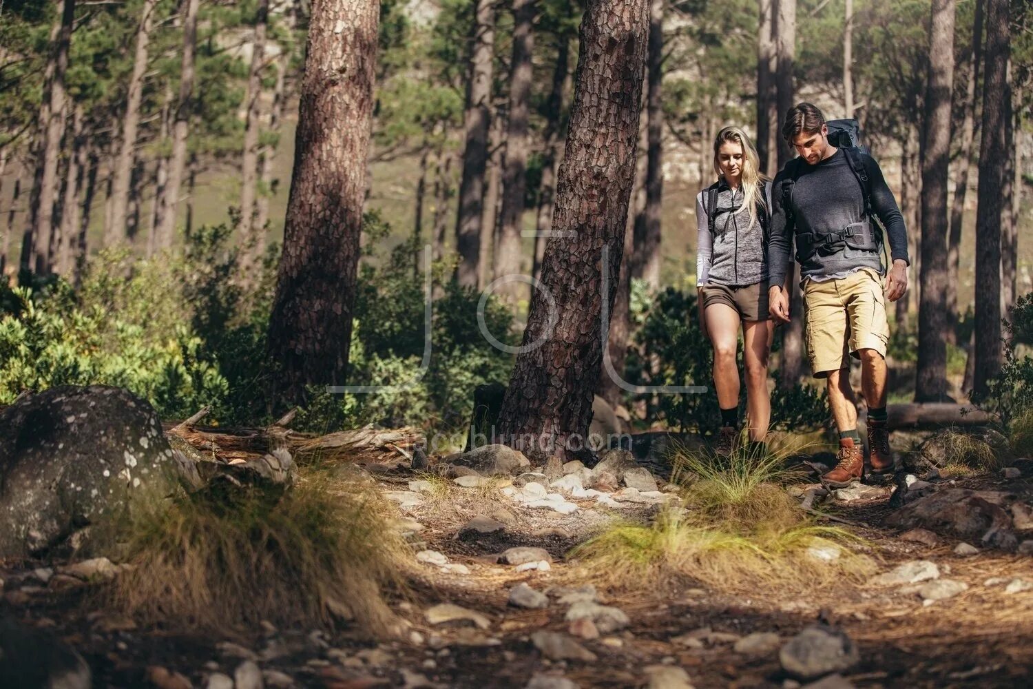 Лес одет. Носят лес. мужчина с рюкзаком в лесу. что надеть в лес. packing backpack forest.