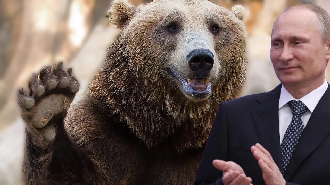 Russia is a bear