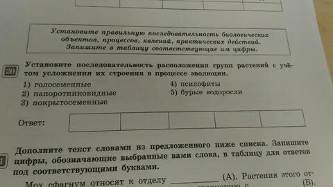 Установите последовательность биологических систем