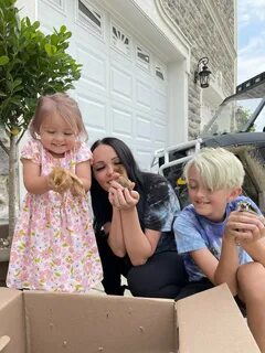 Box vlog