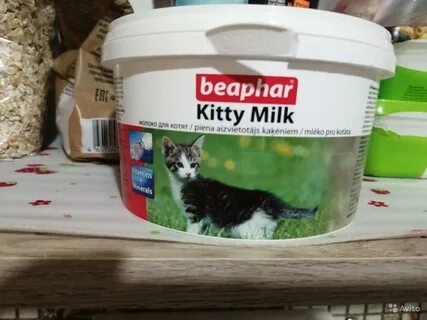 Кошачье молоко