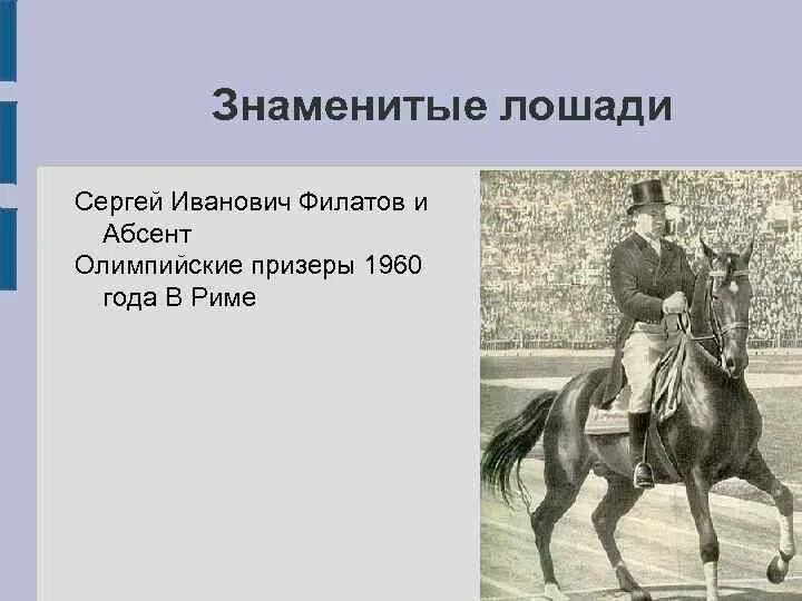 Самые известные лошади в истории. Знаменитые лошади Казаков. Кличка коня махотина главного вронского на скачках