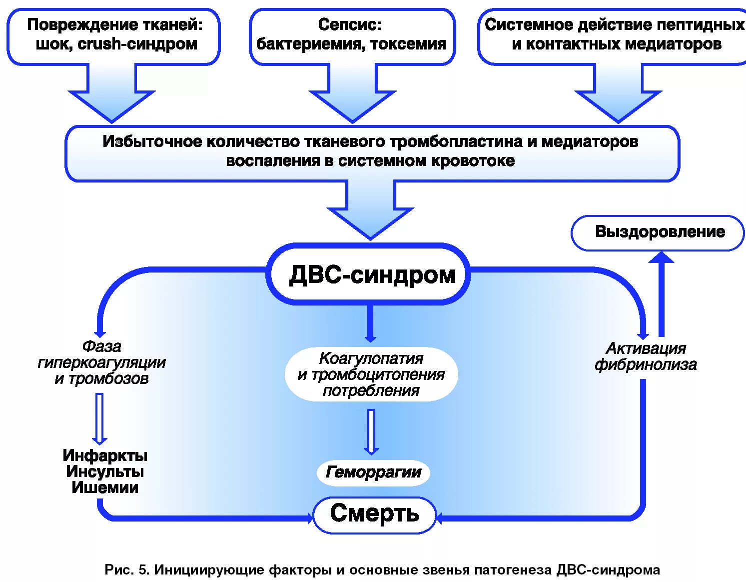 Развития двс синдрома. ДВС синдром механизм развития. Клинические проявления стадий ДВС синдрома. Механизм развития 2 стадии ДВС синдрома. ДВС синдром в акушерстве клинические рекомендации.