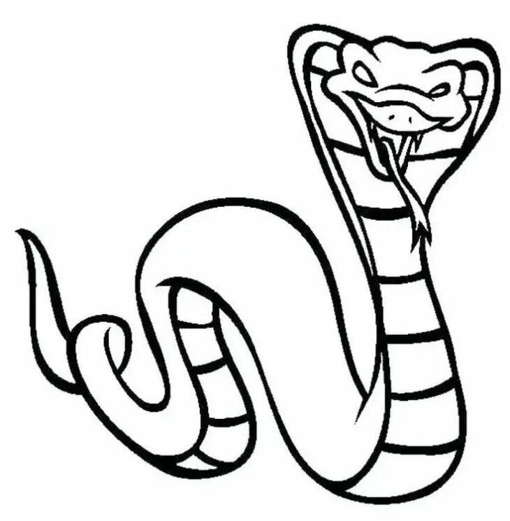 Раскраска змей для детей. Кобра раскраска. Змея раскраска. Змея раскраска для детей. Раскраска змеи для детей.