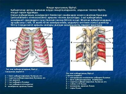 Ступинодағы қыздар секс іздейді