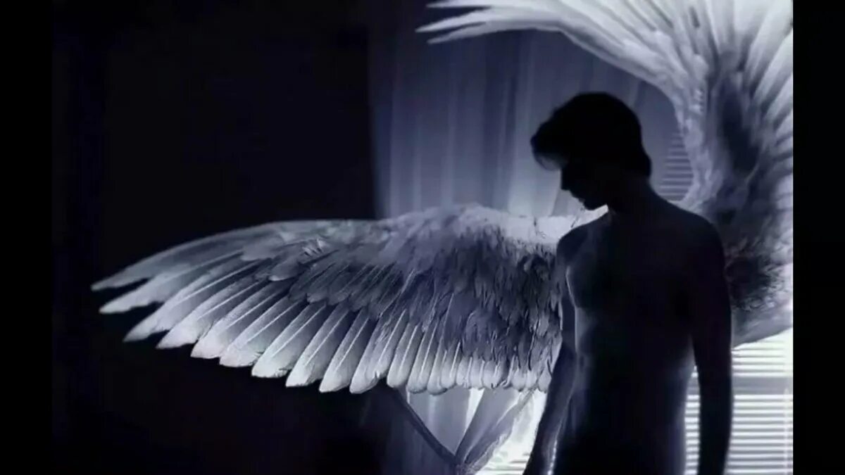 Ангел мужчина спиной. Парень с крыльями. Мужчина с крыльями ангела. Парень с крыльями ангела. Мужчина с белыми крыльями.