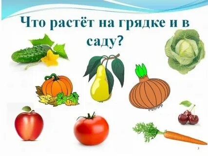 Презентация про фрукты для детей