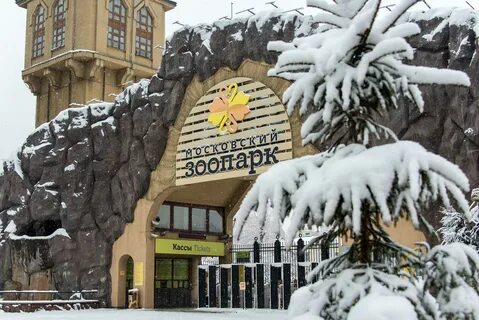 Работает ли московский зоопарк зимой