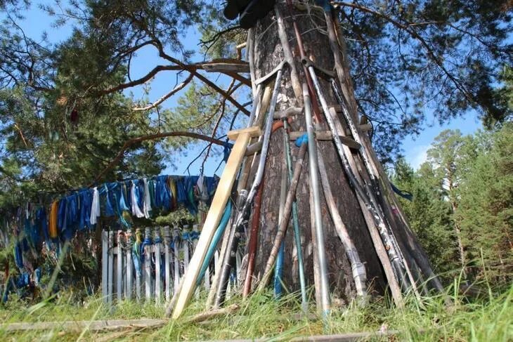 Кучегерские термальные грязевые источники в бурятии. Курорт кучигер курумканский. кучигер бурятия источники. кучегэр лечебный курорт бурятии. кучугуры бурятия курумканский.