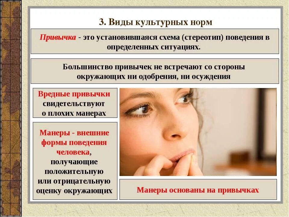 виды культурных норм. виды норм в культуре. виды норм культуры. культурные правила и нормы. нормы культуры примеры.