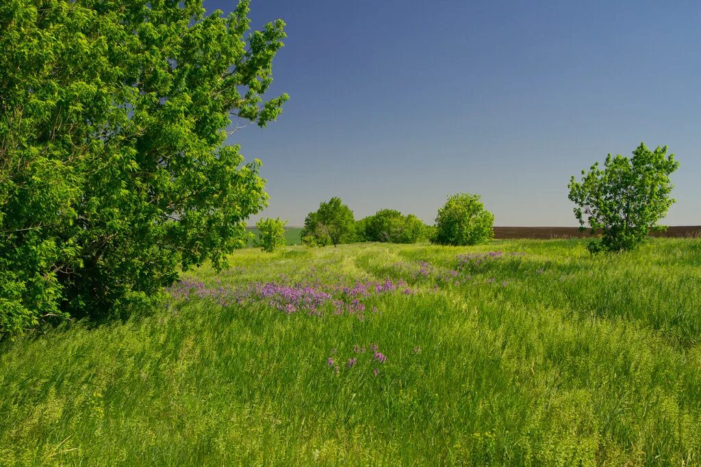 эко ресторан раздолье минск. природа башкирии. раздолье 7 букв. раздолье 7 букв. красное раздолье (третьяковский район).