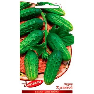 Кустовые огурцы сорта самоопыляемые