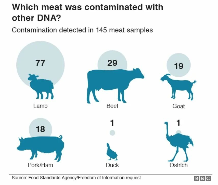 Тест на мясо ответы. Animals and their meat. Мясо тест. Animal DNA Testing Австралия лаборатория.