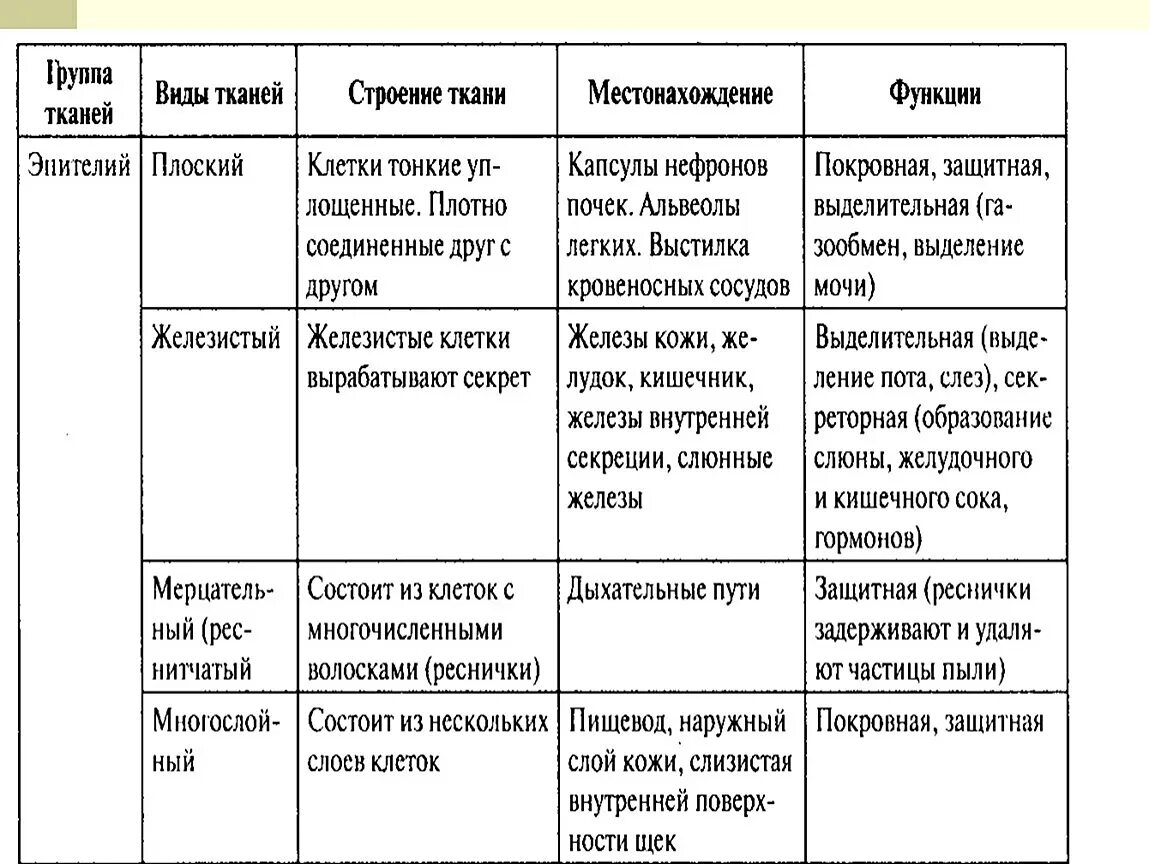 Таблица ткань строение рисунок. Эпителиальная ткань строение и функции таблица. Таблица Тип ткани особенности строения функции. Виды тканей строение и функции таблица. Название ткани строение функции таблица.