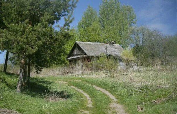 Село крапива. Деревня Кобелево Темкинский район. Деревня Шибнево Смоленская область. Базулино Смоленская обл. Деревня за Крапивной ла.