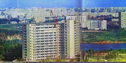 Ж м восточный