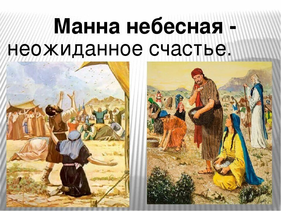 Сообщение как возникли данные фразеологизмы манна небесная. Манна небесная. библейские фразеологизмы манна небесная. манна небесная фразеологизм. происхождение фразеологизма манна небесная.