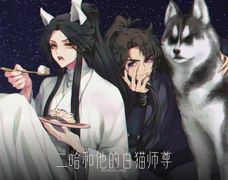 Husky and White Cat Shizun. Husky and his White Cat Shizun. Dumb Husky and his White Cat Shizun novel.