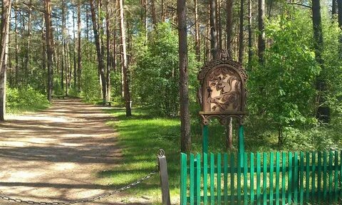 Орловское полесье снять