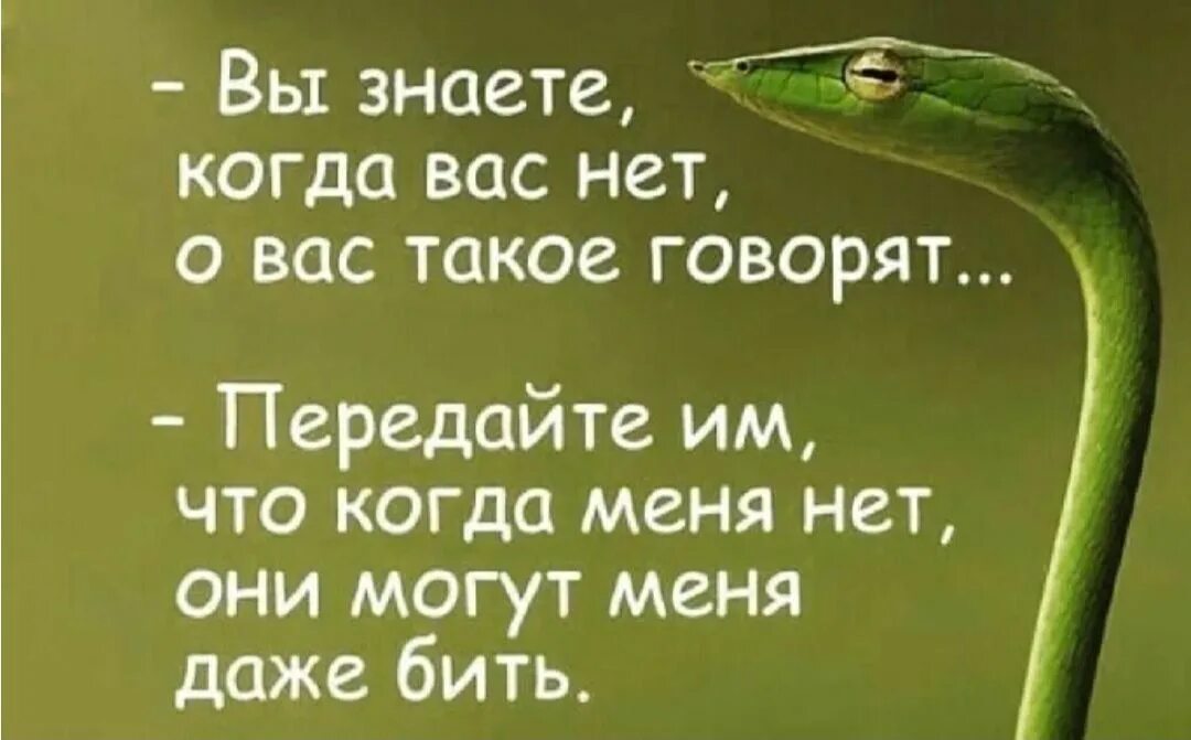 Когда меня нет можете даже бить. Когда вас нет о вас такое говорят. Вы знаете о вас такое говорят. Вы знаете когда вас нет о вас такое говорят передайте.